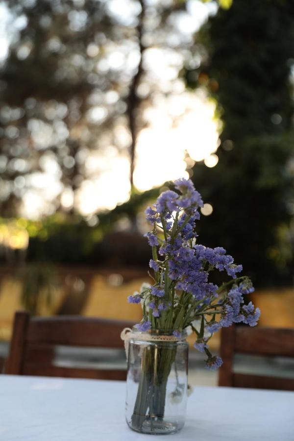 Kayserkaya Cottages Selçuk Luaran gambar