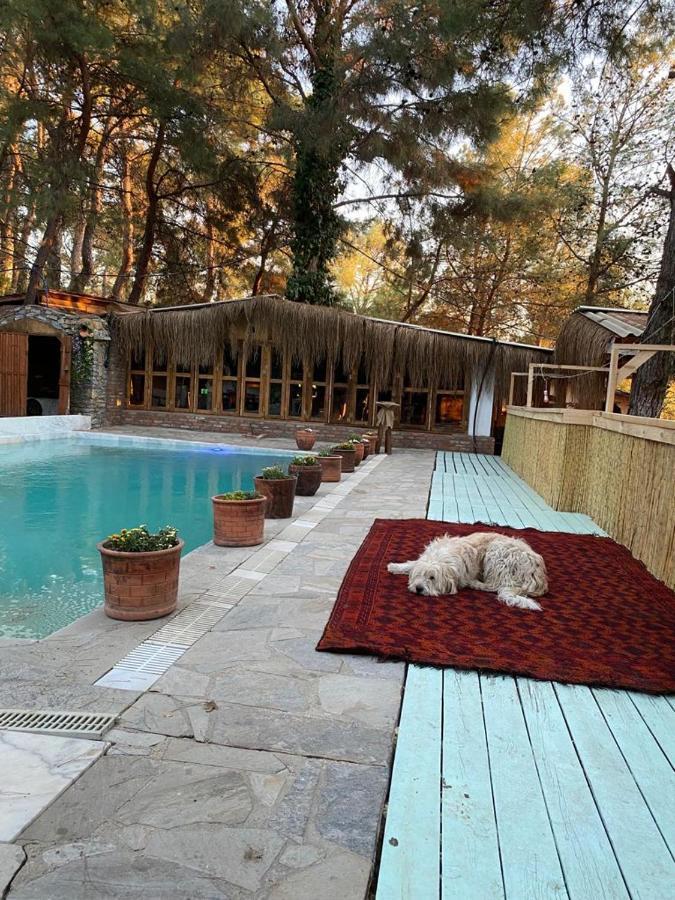 Kayserkaya Cottages Selçuk Luaran gambar